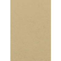 BRUNNEN 218436052 Filz 1 mm 20 x 30 cm 100% Viskose beige von BRUNNEN