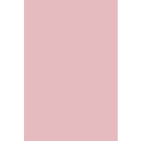 BRUNNEN 218436223 Filz 1mm 20 x 30 cm 100% Viskose rosa BRUNNEN 218436223 Filz 1mm 20 x 30 cm 100% Viskose rosa von BRUNNEN