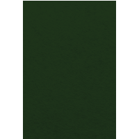 BRUNNEN 218436460 Filz 1mm 20 x 30 cm 100% Viskose tannengrün von BRUNNEN