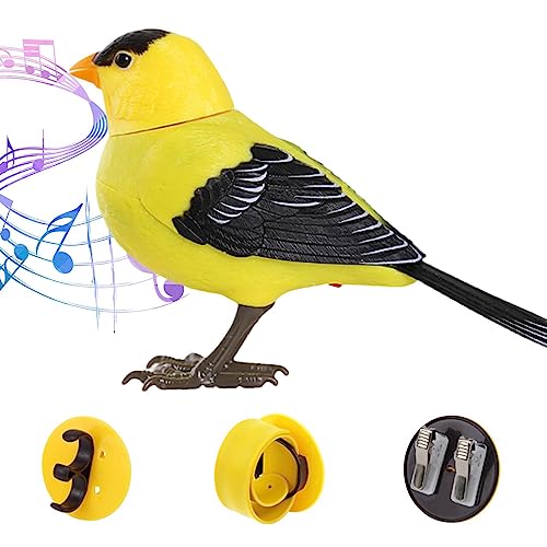 BSEID Realistische Vögel, elektrische Vögel, realistische Tiere, Spielzeug, Dekoration für den Außenbereich - Licht und Sprachsteuerung, Baumschmuck, Outdoor-Dekoration für Kinder, Artikel für BSEID Realistische Vögel, elektrische Vögel, realistische Tiere, Spielzeug, Dekoration für den Außenbereich - Licht und Sprachsteuerung, Baumschmuck, Outdoor-Dekoration für Kinder, Artikel für von BSEID