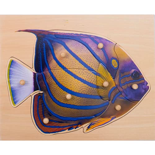 BSM E72511460 Einbauspiel – Puzzle Der Fisch, Holz BSM E72511460 Einbauspiel – Puzzle Der Fisch, Holz von BSM