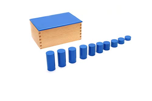 BSM Edufun – Montessori-Pedagogie – Bauspiele für Kinder, Zylinder, blau, EF91104 von BSM