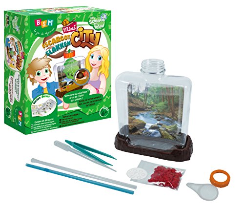 BSM - WS 927 - Spiel, wissenschaftlich - Mini Schnecke City von BSM