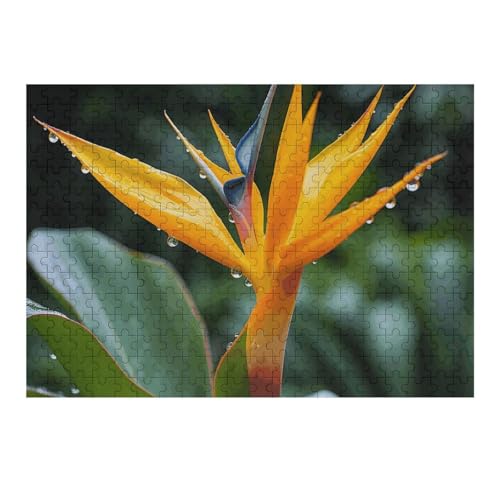 300 PCS Jigsaw Puzzles Heaven Bird Puzzles Personalized Puzzle Wooden Picture Puzzle for Adults Photo Puzzle Art Wall Hanging Decor for Birthday Wedding Valentine's Day Anniversary 300 PCS Jigsaw Puzzles Heaven Bird Puzzles Personalized Puzzle Wooden Picture Puzzle for Adults Photo Puzzle Art Wall Hanging Decor for Birthday Wedding Valentine's Day Anniversary von BTCOWZRV