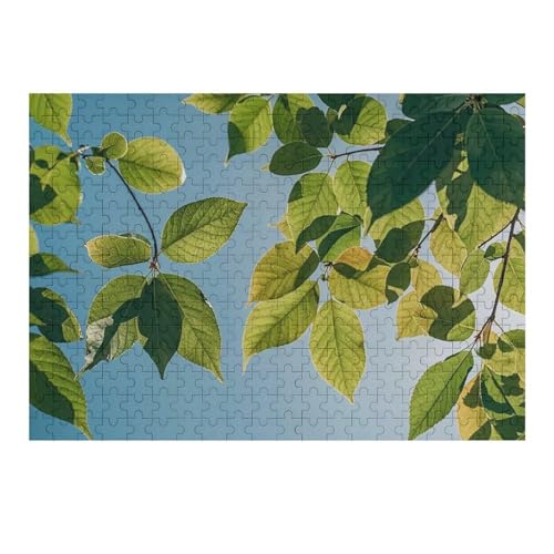 300 PCS Jigsaw Puzzles Spring Green Leaves Puzzles Personalized Puzzle Wooden Picture Puzzle for Adults Photo Puzzle Art Wall Hanging Decor for Birthday Wedding Valentine's Day Anniversary 300 PCS Jigsaw Puzzles Spring Green Leaves Puzzles Personalized Puzzle Wooden Picture Puzzle for Adults Photo Puzzle Art Wall Hanging Decor for Birthday Wedding Valentine's Day Anniversary von BTCOWZRV