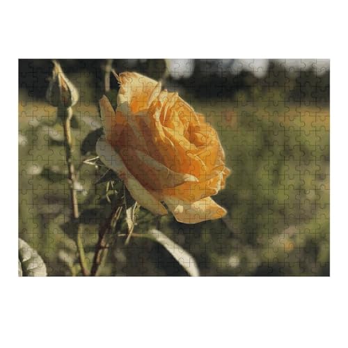 300 PCS Puzzles Blooming Yellow Rose Puzzles Personalized Puzzle Wooden Picture Puzzle for Adults Photo Puzzle Art Wall Hanging Decor for Birthday Wedding Valentine's Day Anniversary 300 PCS Puzzles Blooming Yellow Rose Puzzles Personalized Puzzle Wooden Picture Puzzle for Adults Photo Puzzle Art Wall Hanging Decor for Birthday Wedding Valentine's Day Anniversary von BTCOWZRV