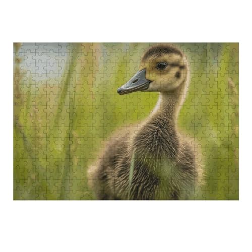300 PCS Puzzles Little Duck in The Grass Puzzles Personalized Puzzle Wooden Picture Puzzle for Adults Photo Puzzle Art Wall Hanging Decor for Birthday Wedding Valentine's Day Anniversary 300 PCS Puzzles Little Duck in The Grass Puzzles Personalized Puzzle Wooden Picture Puzzle for Adults Photo Puzzle Art Wall Hanging Decor for Birthday Wedding Valentine's Day Anniversary von BTCOWZRV