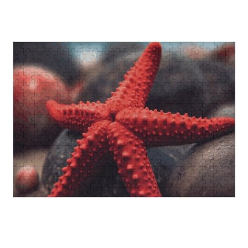 300 PCS Puzzles Little Red Seestern Puzzles Personalized Puzzle Wooden Picture Puzzle for Adults Photo Puzzle Art Wall Hanging Decor for Birthday Wedding Valentine's Day Anniversary 300 PCS Puzzles Little Red Seestern Puzzles Personalized Puzzle Wooden Picture Puzzle for Adults Photo Puzzle Art Wall Hanging Decor for Birthday Wedding Valentine's Day Anniversary von BTCOWZRV