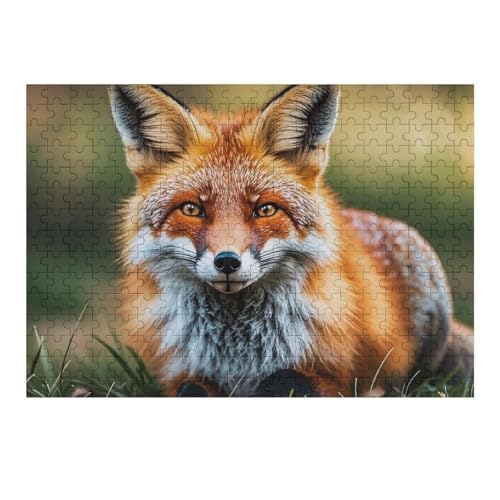 300 Stück Puzzle, schlafend, lustige Fuchskreaturen, Puzzle, personalisiertes Puzzle, Holzbild, Puzzle für Erwachsene, Fotopuzzle, Kunst, Wandbehang, Dekoration für Geburtstag, Hochzeit, Valentinstag 300 Stück Puzzle, schlafend, lustige Fuchskreaturen, Puzzle, personalisiertes Puzzle, Holzbild, Puzzle für Erwachsene, Fotopuzzle, Kunst, Wandbehang, Dekoration für Geburtstag, Hochzeit, Valentinstag von BTCOWZRV