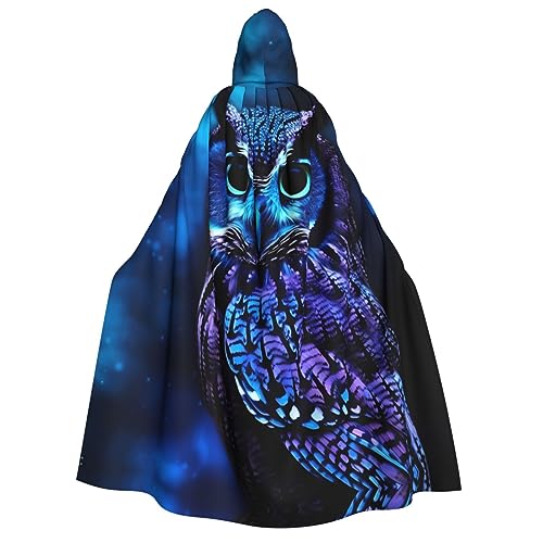 BTCOWZRV Chalet by The Lake Print Unisex Hooded Cloak Halloween Cloak Hooded Robe Adult Cape Cosplay Costumes, Blue Owl, One Size von BTCOWZRV