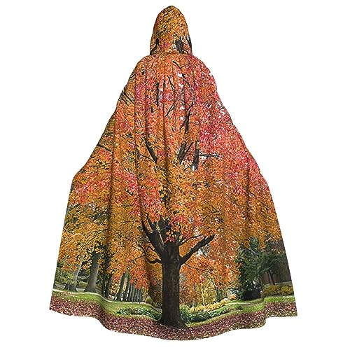 BTCOWZRV Fall Trees Print Unisex Kapuzenumhang Halloween Umhang Kapuzenmantel Erwachsene Umhang Cosplay Kostüme, Herbstbäume, Einheitsgröße von BTCOWZRV