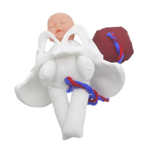 BUGUUYO 1 Satz Anatomisches Beckenmodell weibliches Fortpflanzungsmodell Modell der Beckenanatomie Beckenmodell zum Lernen weibliches Beckenknochenmodell Hebammenausbildungsmodell PVC BUGUUYO 1 Satz Anatomisches Beckenmodell weibliches Fortpflanzungsmodell Modell der Beckenanatomie Beckenmodell zum Lernen weibliches Beckenknochenmodell Hebammenausbildungsmodell PVC von BUGUUYO