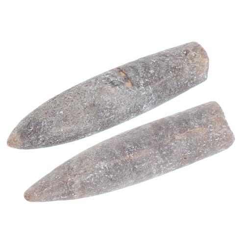BUGUUYO Pädagogisches Kit 2 Stück Belemniten-Exemplar natürlich für Geologie Paläontologie Lehrzubehör BUGUUYO Pädagogisches Kit 2 Stück Belemniten-Exemplar natürlich für Geologie Paläontologie Lehrzubehör von BUGUUYO