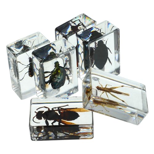 BUGUUYO 6 Stück Teiliges Insektenset Transparentem Resin Langlebige Insektenpräparate als Lehrmaterial und Dekoration Wespentier Laufkäfer Libelle Goldkäfer Vielseitig für Familie und von BUGUUYO