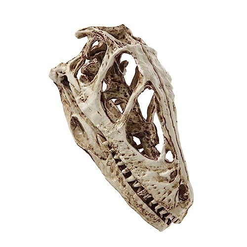 BUGUUYO Sammlerstück Dinosaurier-schädelmodell Harz-schädelfigur Totenkopffigur Und Simuliertes Schädelmodell BUGUUYO Sammlerstück Dinosaurier-schädelmodell Harz-schädelfigur Totenkopffigur Und Simuliertes Schädelmodell von BUGUUYO