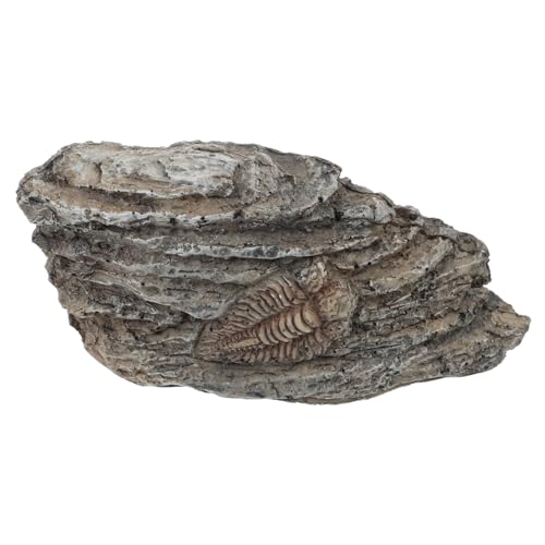 BUGUUYO Fossiles Exemplar Gecko Reptil Im Freien Mit Haube Aquarium Schildkröte Treibholz Für Aquarien Trilobiten-ornament Trilobiten-exemplardekoration Trilobiten-exemplarornament Harz von BUGUUYO