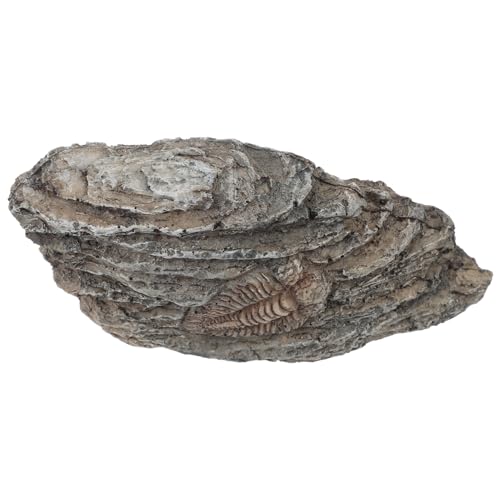 BUGUUYO Fossiles Exemplar Fossile Sammlerfigur Fossilienwissenschaftliches Lernspielzeug Paläontologisches Mega-fossiliengrabung Fossile Sammlung Reptilienkiste Kind Glas Harz von BUGUUYO