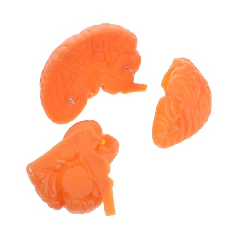 BUGUUYO Hirnanatomie -lehrmodell Menschliches Anatomisches Modell Gehirnmodell Für Den Unterricht Gehirnstütze Modell Der Gehirnanatomie Strukturmodell Des Menschlichen Gehirns Pvc Kaffee BUGUUYO Hirnanatomie -lehrmodell Menschliches Anatomisches Modell Gehirnmodell Für Den Unterricht Gehirnstütze Modell Der Gehirnanatomie Strukturmodell Des Menschlichen Gehirns Pvc Kaffee von BUGUUYO