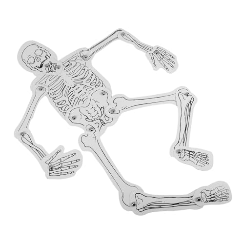 BUGUUYO Human Skeleton Modell Bausatz Lernspielzeug Diy für Schule Bildung Klassenzimmer Interaktives Skelett Knochen Assembly Kompakt Transportabel BUGUUYO Human Skeleton Modell Bausatz Lernspielzeug Diy für Schule Bildung Klassenzimmer Interaktives Skelett Knochen Assembly Kompakt Transportabel von BUGUUYO