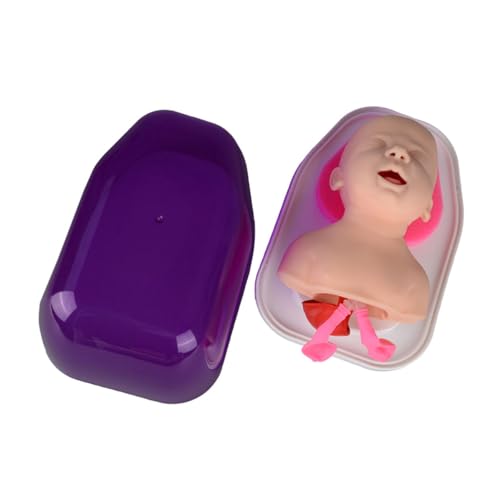 BUGUUYO -Intubationsmodell Simulator -Lehrhilfe orale Nasenintubation Atemwegsmanagement Trainer Endotracheal - menschliches Modell der PVC BUGUUYO -Intubationsmodell Simulator -Lehrhilfe orale Nasenintubation Atemwegsmanagement Trainer Endotracheal - menschliches Modell der PVC von BUGUUYO