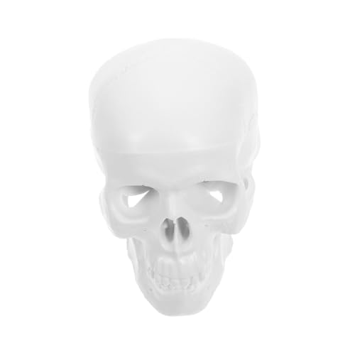 BUGUUYO Mini Menschliches Schädelmodell aus Kunststoff Abnehmbarer Unterkiefer und Schädeldecke Präzise Anatomische Details Vielseitig für Medizinische Ausbildung Unterricht und Halloween von BUGUUYO