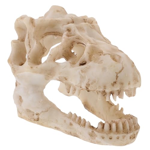 BUGUUYO Miniatur Resin Dinosaurierschädel Modell Detailliertes Langlebiges Kunstharz für Büro und Wohnraumdekoration Realistische Nachbildung für Sammler und Dinosaurierliebhaber BUGUUYO Miniatur Resin Dinosaurierschädel Modell Detailliertes Langlebiges Kunstharz für Büro und Wohnraumdekoration Realistische Nachbildung für Sammler und Dinosaurierliebhaber von BUGUUYO
