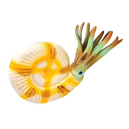 BUGUUYO Nautilus Figur Lernspielzeug Meeresbewohner Modell Tischdekoration Pädagogisches von BUGUUYO