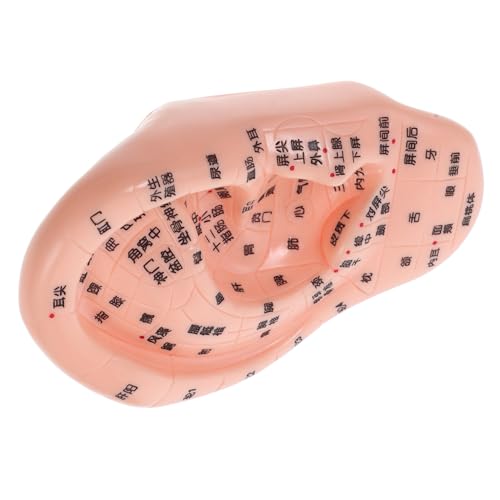 BUGUUYO Ohrmodell Kleiderschrankknopf Einloch-Garderobengriff Meridian Ohr -Akupunkt Schriftzoptimierungspunkt Spieße Ohrakupunktur Modell Ohrreflexzonen Modell Ohrenmodell Gummi Rosa BUGUUYO Ohrmodell Kleiderschrankknopf Einloch-Garderobengriff Meridian Ohr -Akupunkt Schriftzoptimierungspunkt Spieße Ohrakupunktur Modell Ohrreflexzonen Modell Ohrenmodell Gummi Rosa von BUGUUYO