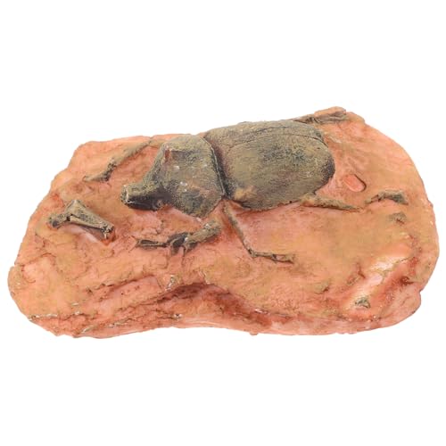 BUGUUYO Paläontologisches Insektenfossil Dekoration Lehrmittel Kompakt Leicht für Sammlung Unterricht Zuhause Multipurpose Sicher Robust Langlebig BUGUUYO Paläontologisches Insektenfossil Dekoration Lehrmittel Kompakt Leicht für Sammlung Unterricht Zuhause Multipurpose Sicher Robust Langlebig von BUGUUYO