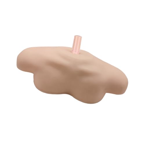 BUGUUYO Simulation Schultermodell mit Universellem Ständer Wasserdichtes Lehrmodell für Friseure und Medizinische Übung Detailgetreue Schulter Nachbildung mit Glatter Oberfläche BUGUUYO Simulation Schultermodell mit Universellem Ständer Wasserdichtes Lehrmodell für Friseure und Medizinische Übung Detailgetreue Schulter Nachbildung mit Glatter Oberfläche von BUGUUYO