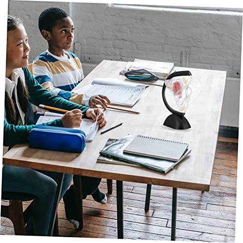 BUGUUYO Transparentes Weibliches Uterusmodell aus PVC Anatomisches Lehrmittel für Medizinische Ausbildung Sichtbare Uterusstruktur Geeignet für Ärzte Pflegepersonal und Studierende BUGUUYO Transparentes Weibliches Uterusmodell aus PVC Anatomisches Lehrmittel für Medizinische Ausbildung Sichtbare Uterusstruktur Geeignet für Ärzte Pflegepersonal und Studierende von BUGUUYO