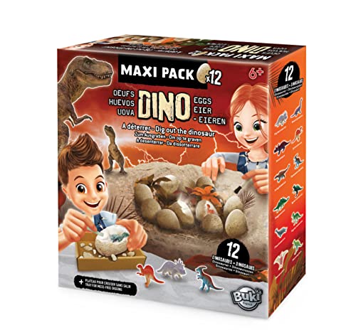 BUKI France 2138 Dino Eier Maxi Pack x12 von BUKI France