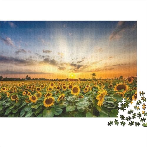 Sonnenblumenfeld bei Sonnenuntergang 300 Teile für Erwachsene Puzzle für Erwachsene 300 Teile Lernspiele 300 Teile (40 x 28 cm) von BUKISA