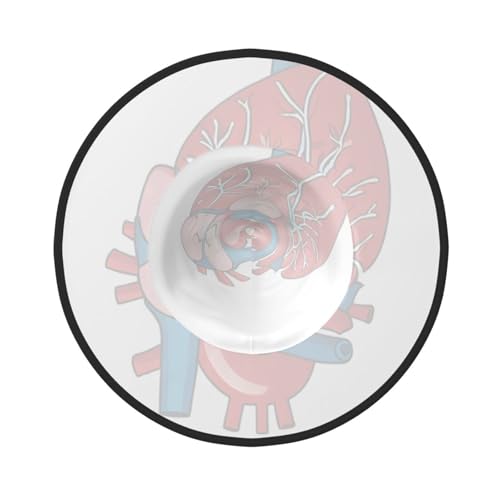 BULQAPZDF Menschliche Anatomie Herz Diagramm Halloween Hexerhut Halloween Hexer Party Kostüm Zubehör BULQAPZDF Menschliche Anatomie Herz Diagramm Halloween Hexerhut Halloween Hexer Party Kostüm Zubehör von BULQAPZDF