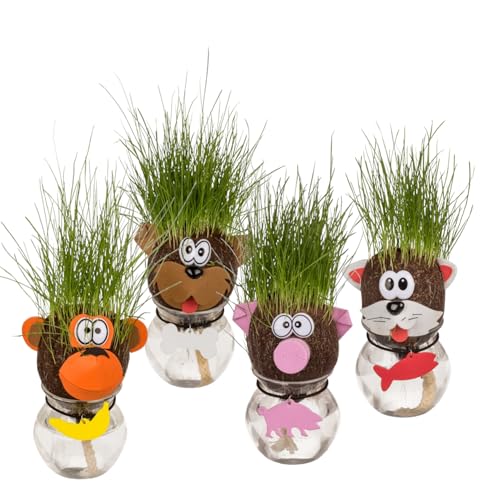 BUSDUGA 4461 4er Set Grasköpfe Sortiert, 12x6,5cm, Experiment für Kinder, Kindergeburtstag Schulprojekt Graskopf BUSDUGA 4461 4er Set Grasköpfe Sortiert, 12x6,5cm, Experiment für Kinder, Kindergeburtstag Schulprojekt Graskopf von BUSDUGA