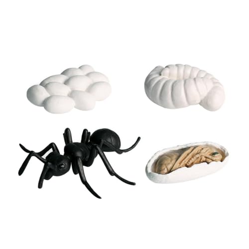 1 Satz Pädagogisches Wissenschaftliches Spielzeug Künstliches Tier Gastgeschenke Pflanzer Figur Abbildung des Tierlebenszyklus 3D-lebenszyklusmodell Dekorationen Insekt Kind von BUTIFULSIC