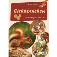 Eichhörnchen von BVK Buch Verlag Kempen GmbH