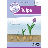 Themenheft Tulpe von BVK Buch Verlag Kempen GmbH