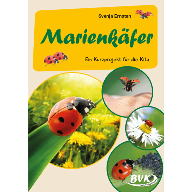 Marienkäfer von BVK Buch Verlag Kempen