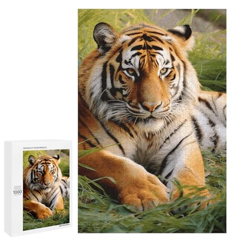 Holzpuzzle für Erwachsene, Tiger liegt auf dem Gras gedruckt Puzzle für Erwachsene, kommt mit einer schönen Box von BVKWNTSA
