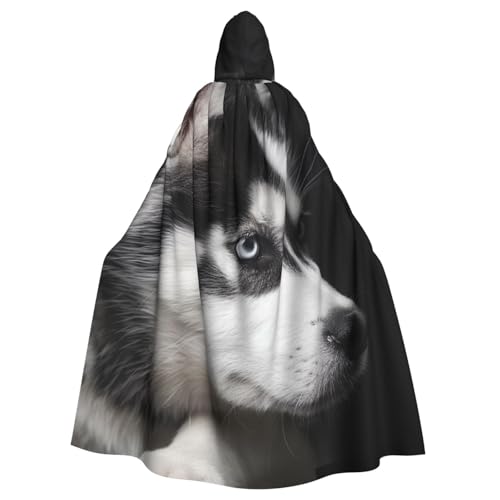 BWWHCCTI Bedruckter Kapuzenumhang mit Husky, Unisex, Erwachsene, Halloween, Cosplay, Kostüme, langer Kapuzenmantel BWWHCCTI Bedruckter Kapuzenumhang mit Husky, Unisex, Erwachsene, Halloween, Cosplay, Kostüme, langer Kapuzenmantel von BWWHCCTI