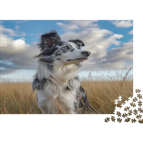 Australischer Schäferhund 1000 Stück Puzzles Für Erwachsene Teenager Stress Abbauen Familien-Puzzlespiel 1000-teiliges Puzzle Kinder Lernspiel Spielzeug Geschenk Puzzel 1000pcs (75x50cm) von BXYAFEKUD