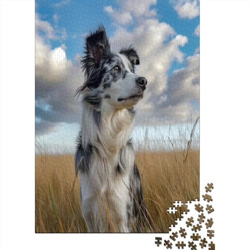 Australischer Schäferhund 1000 Teile, Impossible Puzzle,Geschicklichkeitsspiel Für Die Ganze Familie, Erwachsenenpuzzle Ab 14 Jahren Puzzel 1000pcs (75x50cm) von BXYAFEKUD
