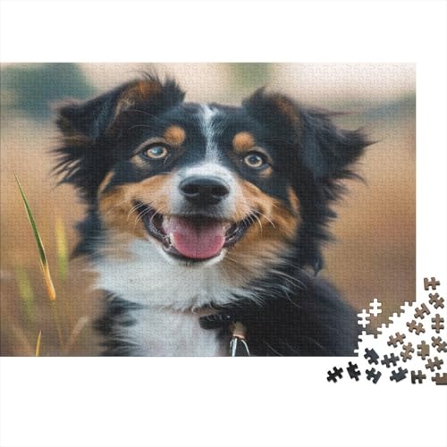 Australischer Schäferhund Puzzle 1000 Teile Puzzles Für Erwachsene Lernspiel Herausforderungsspielzeug 1000-teilige Puzzlespiel Für Erwachsene Kinder Puzzel 1000pcs (75x50cm) von BXYAFEKUD