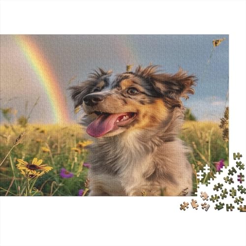 Australischer Schäferhund Puzzle 1000 Teile Puzzles Für Klassische Puzzles 1000 Teile Puzzlespiel Schwer Pädagogisches Spielzeug Kinder Puzzel 1000pcs (75x50cm) von BXYAFEKUD