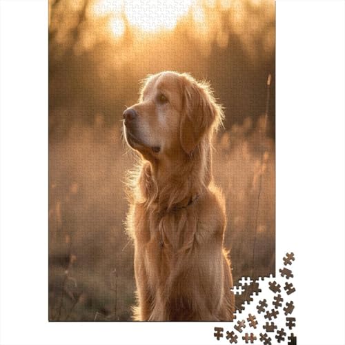 Golden Retriever 1000 Stück Puzzles Für Erwachsene Teenager Stress Abbauen Familien-Puzzlespiel 1000-teiliges Puzzle Kinder Lernspiel Spielzeug Geschenk Puzzel 1000pcs (75x50cm) von BXYAFEKUD