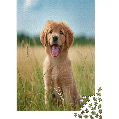 Golden Retriever Puzzle 1000 Teile,Puzzle Für Erwachsene, Impossible Puzzle,Puzzle Farbenfrohes Legespiel,Geschicklichkeitsspiel Für Die Ganze Familie Puzzel 1000pcs (75x50cm) von BXYAFEKUD