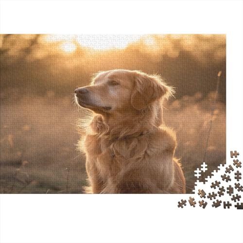 Golden Retriever Puzzle 1000 Teile Puzzle Für Erwachsene Und Kinder Ab 14 Jahren Puzzel 1000pcs (75x50cm) von BXYAFEKUD