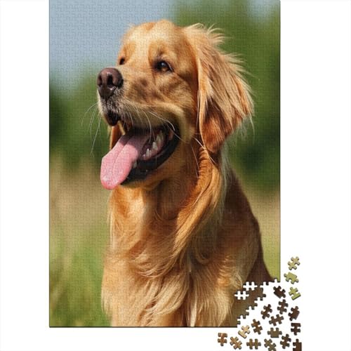 Golden Retriever Puzzle 1000 Teile Puzzle Für Erwachsene Und Kinder Ab 14 Jahren Puzzel 1000pcs (75x50cm) von BXYAFEKUD