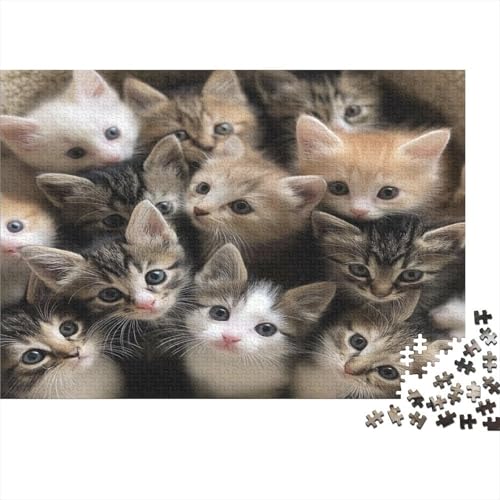 Kat Puzzle 1000 Teile Erwachsener Kniffel Spaß Für Die Ganze Familie - Abwechslungsreiche 1000 Puzzleteilige Motive Puzzle Erwachsene, Puzzel 1000pcs (75x50cm) von BXYAFEKUD